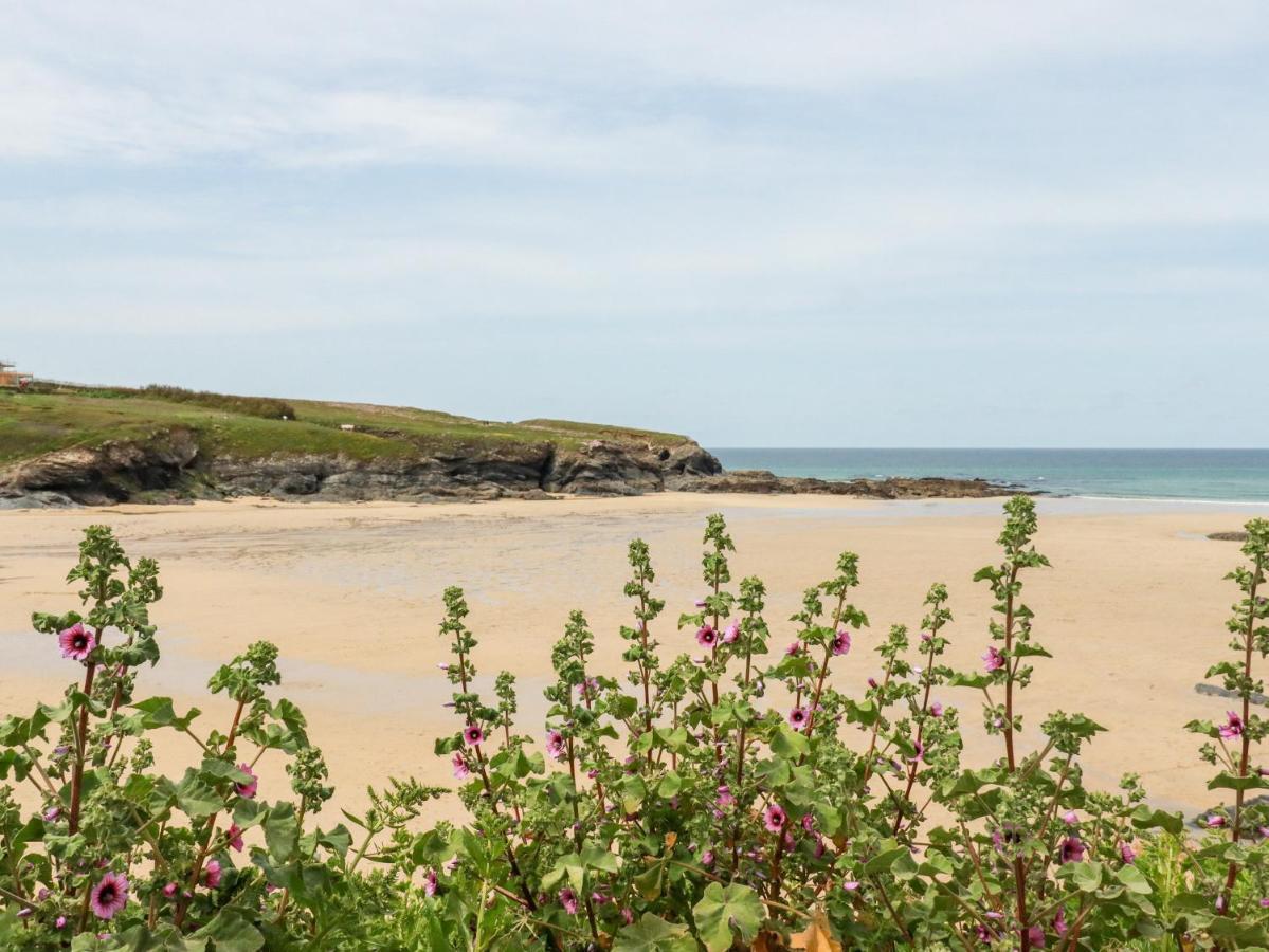 Constantine Bay Cottage Padstow Ngoại thất bức ảnh