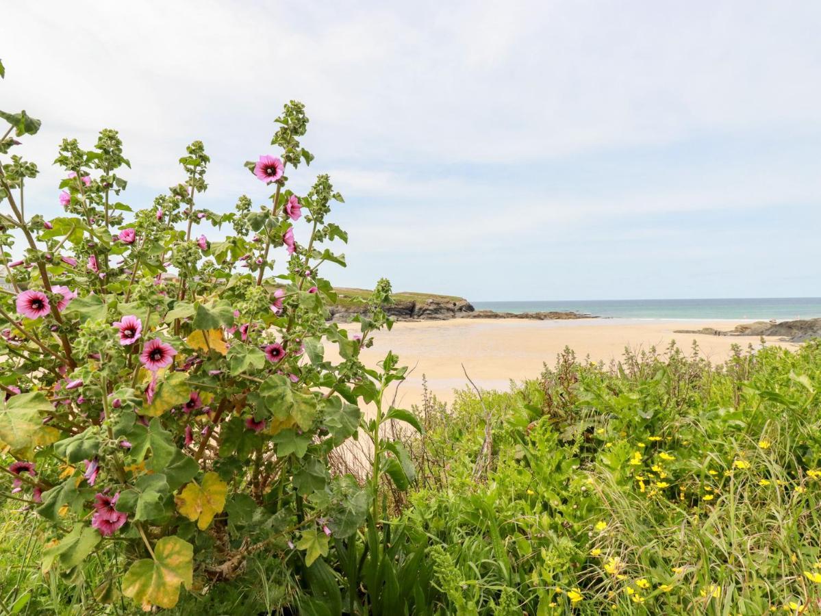 Constantine Bay Cottage Padstow Ngoại thất bức ảnh